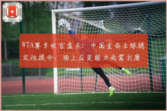 WTA赛季收官盘点：中国金花击球稳定性提升，场上应变能力尚需打磨