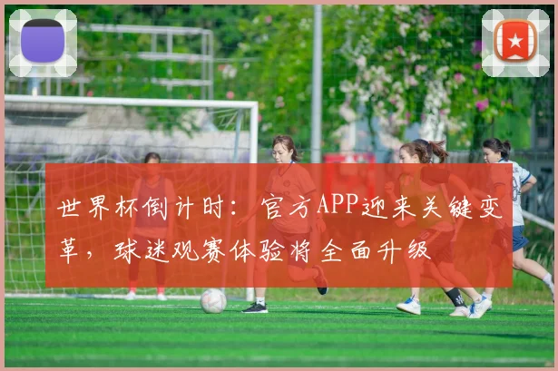 世界杯倒计时：官方APP迎来关键变革，球迷观赛体验将全面升级