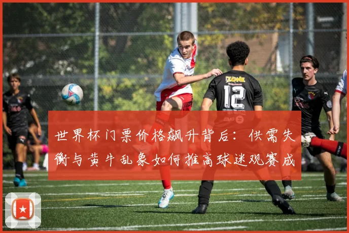 世界杯门票价格飙升背后：供需失衡与黄牛乱象如何推高球迷观赛成本