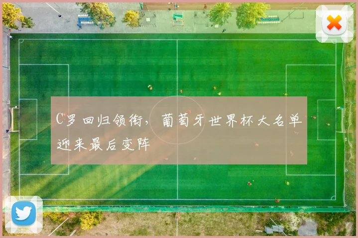 C罗回归领衔，葡萄牙世界杯大名单迎来最后变阵